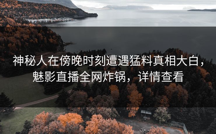神秘人在傍晚时刻遭遇猛料真相大白，魅影直播全网炸锅，详情查看