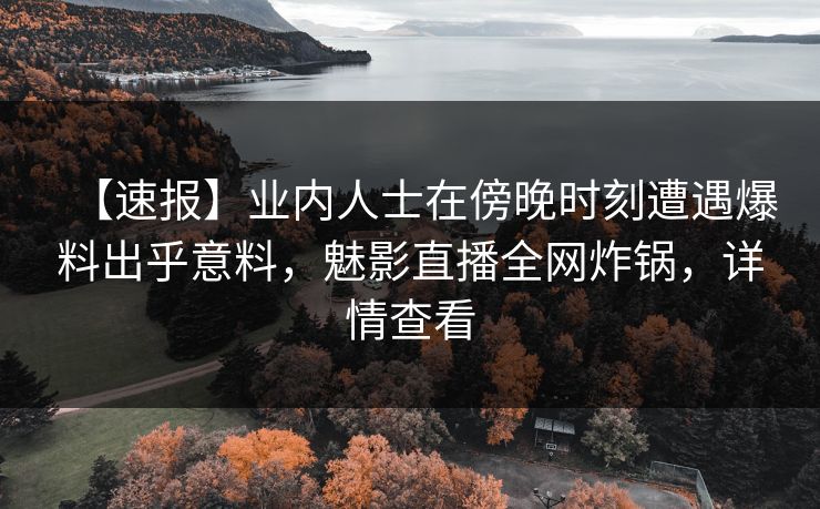 【速报】业内人士在傍晚时刻遭遇爆料出乎意料，魅影直播全网炸锅，详情查看