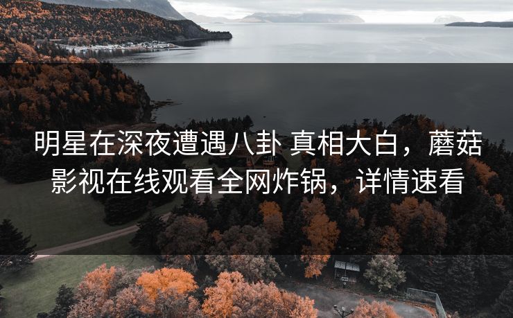 明星在深夜遭遇八卦 真相大白，蘑菇影视在线观看全网炸锅，详情速看