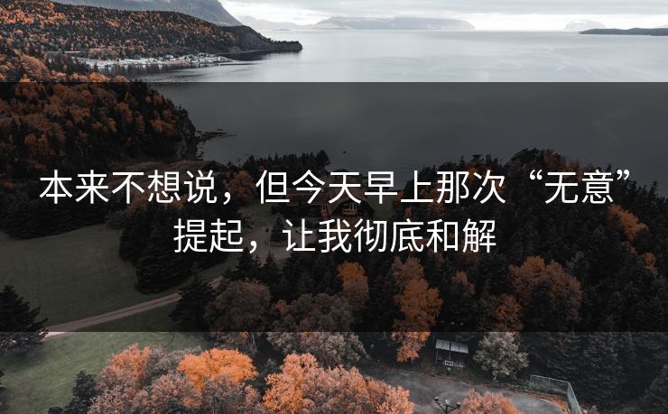 本来不想说，但今天早上那次“无意”提起，让我彻底和解