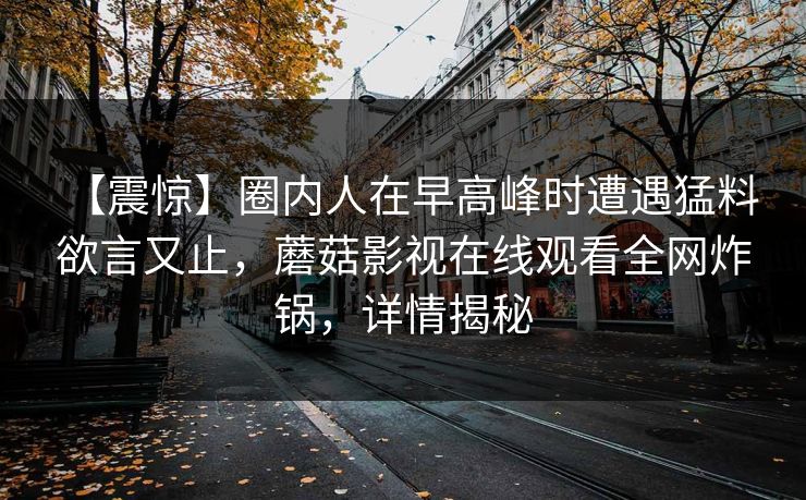 【震惊】圈内人在早高峰时遭遇猛料 欲言又止，蘑菇影视在线观看全网炸锅，详情揭秘