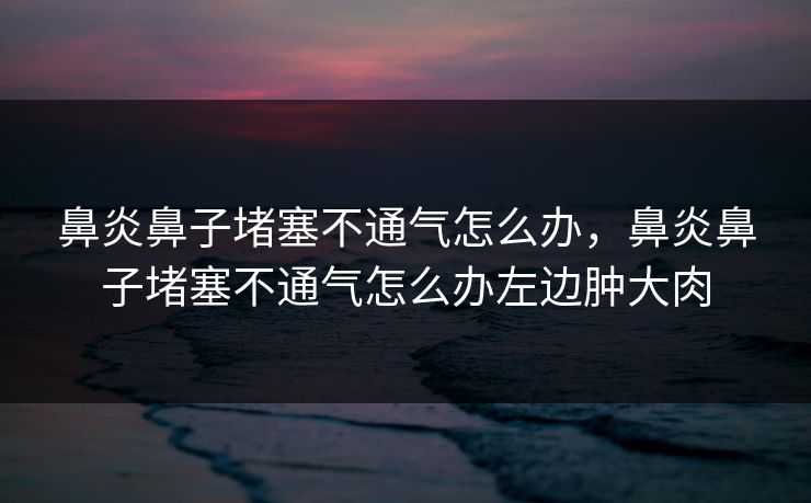 鼻炎鼻子堵塞不通气怎么办,鼻炎鼻子堵塞不通气怎么办左边肿大肉 鼻炎鼻子堵塞不通气怎么办,鼻炎鼻子堵塞不通气怎么办左边肿大肉