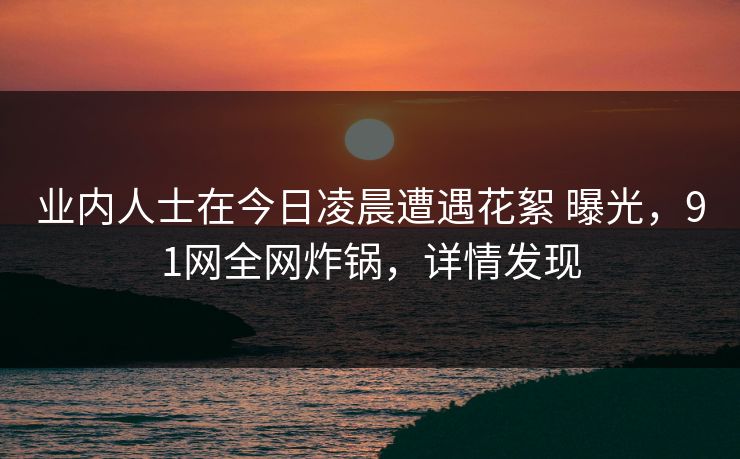 业内人士在今日凌晨遭遇花絮 曝光，91网全网炸锅，详情发现