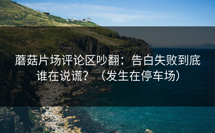 蘑菇片场评论区吵翻:告白失败到底谁在说谎?(发生在停车场) 蘑菇片场评论区吵翻:告白失败到底谁在说谎?(发生在停车场)